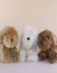 soft toys dogs wholesale australia