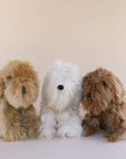 soft toy dogs for wholesale melbourne
