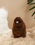 alpaca small soft toy brown