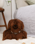 alpaca wool teddy bear melbourne