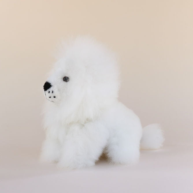 alpaca wool white lion