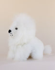 alpaca wool white lion