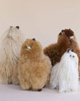 find alpaca toys to buy near me