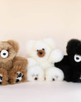 large special teddy bears australia