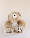 sensory teddy bear
