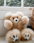 special baby teddy bear first birthday