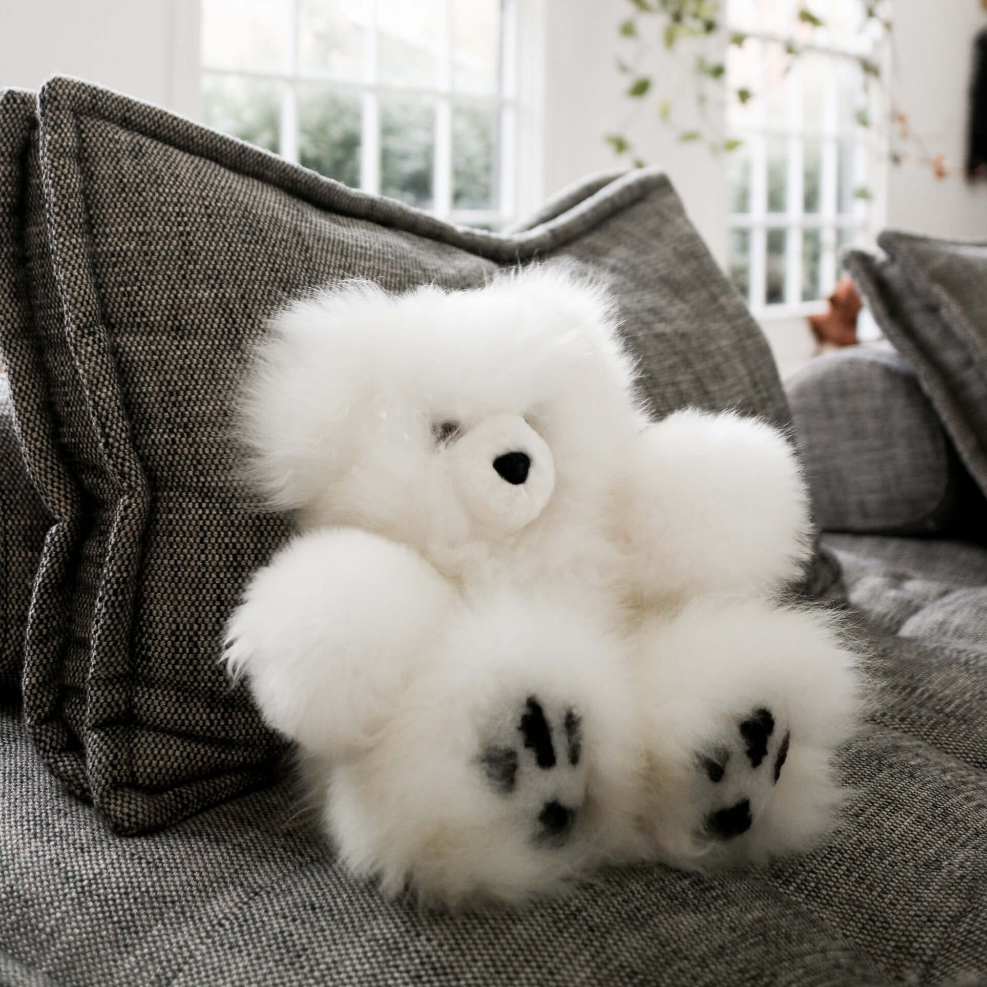 Toy Bear Huacaya Large Luxe - Main Image