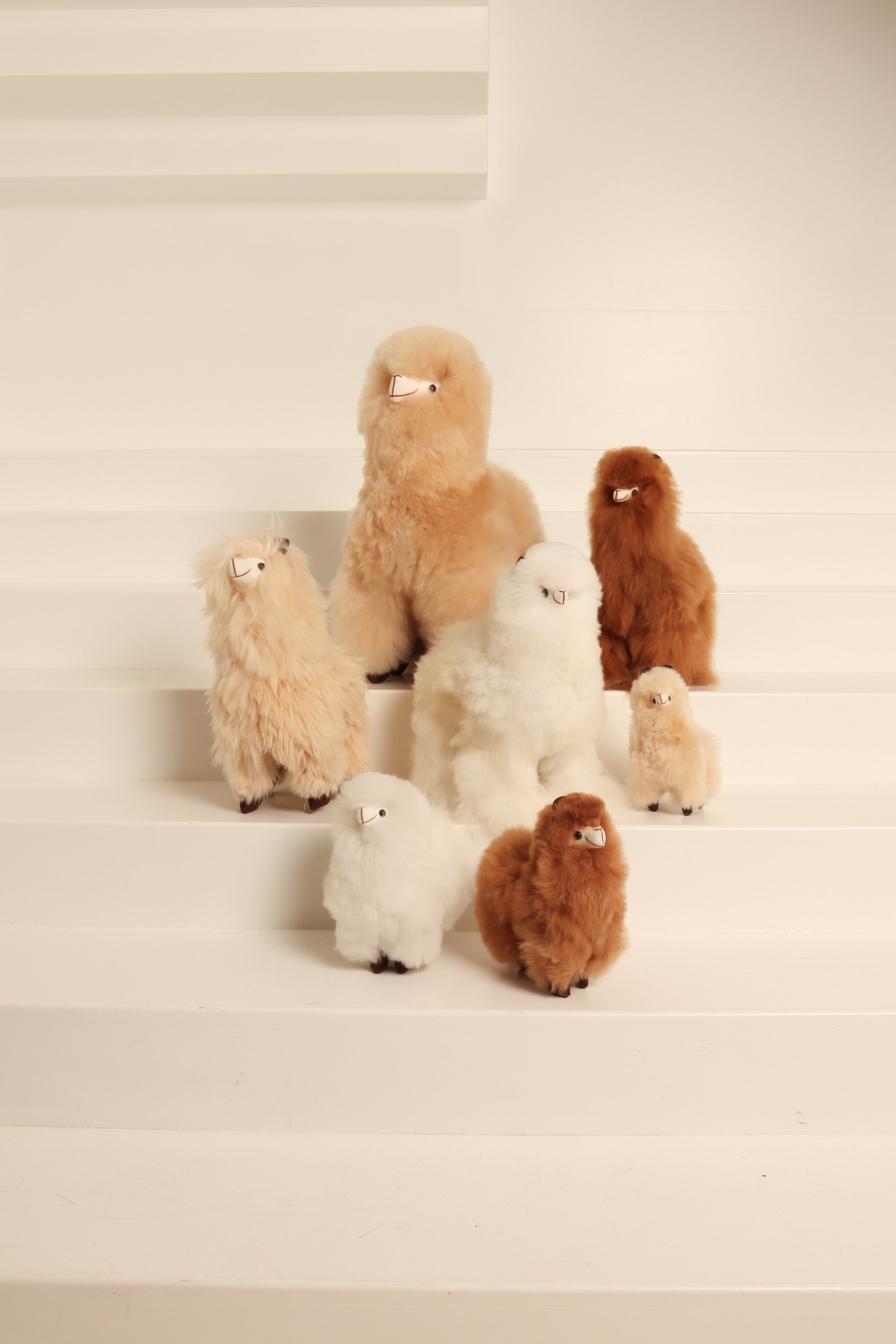 Assorted alpaca plush toys in beige, white, and brown on white staircase