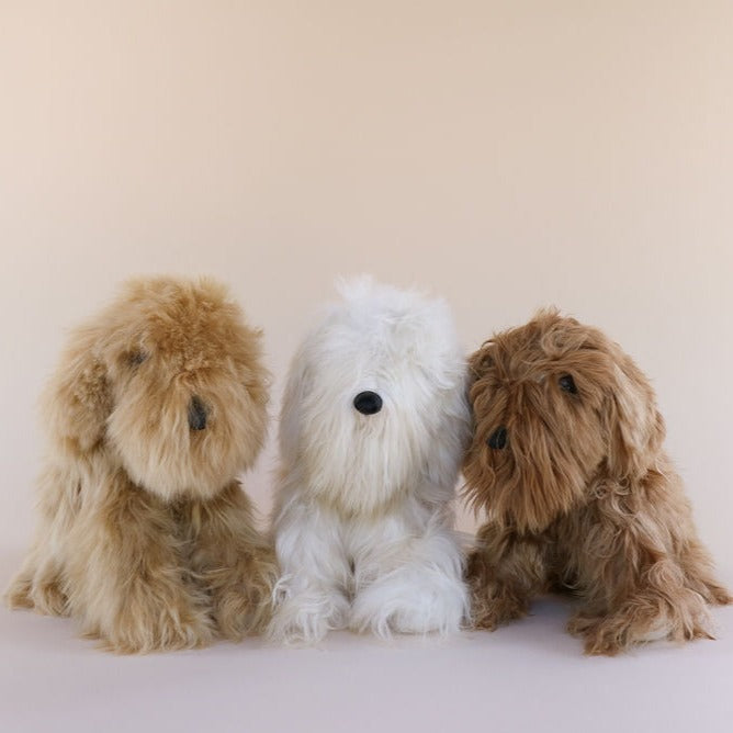 alpaca fur dog for sale