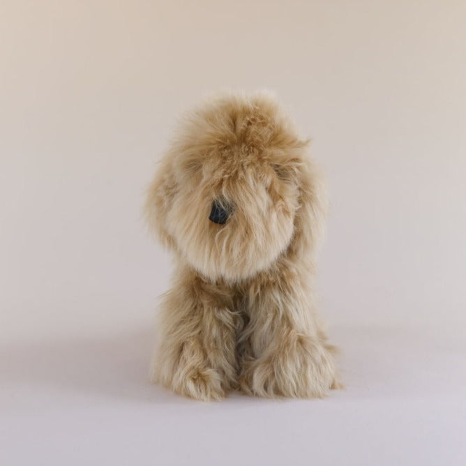 alpaca fur dog soft toy canberra#colour_beige