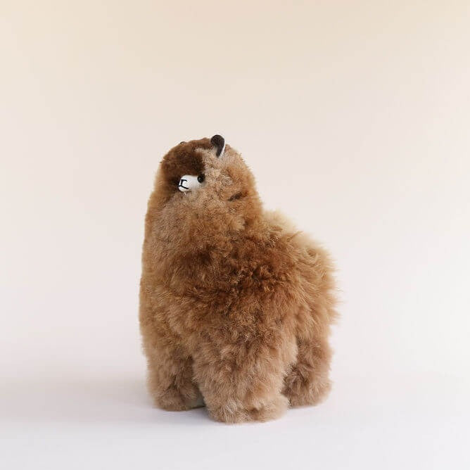 alpaca stuffed animals canberra#colour_brown