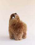 alpaca stuffed animals canberra