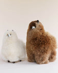 alpaca stuffed animals sydney