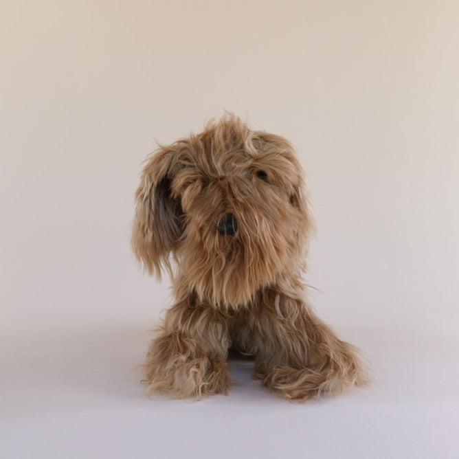 brown dog soft toys in australia