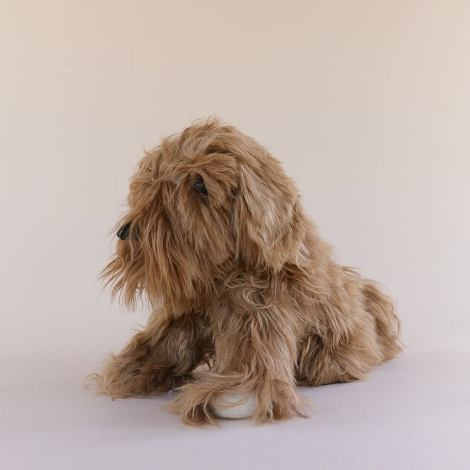buy alpaca wool dog near me