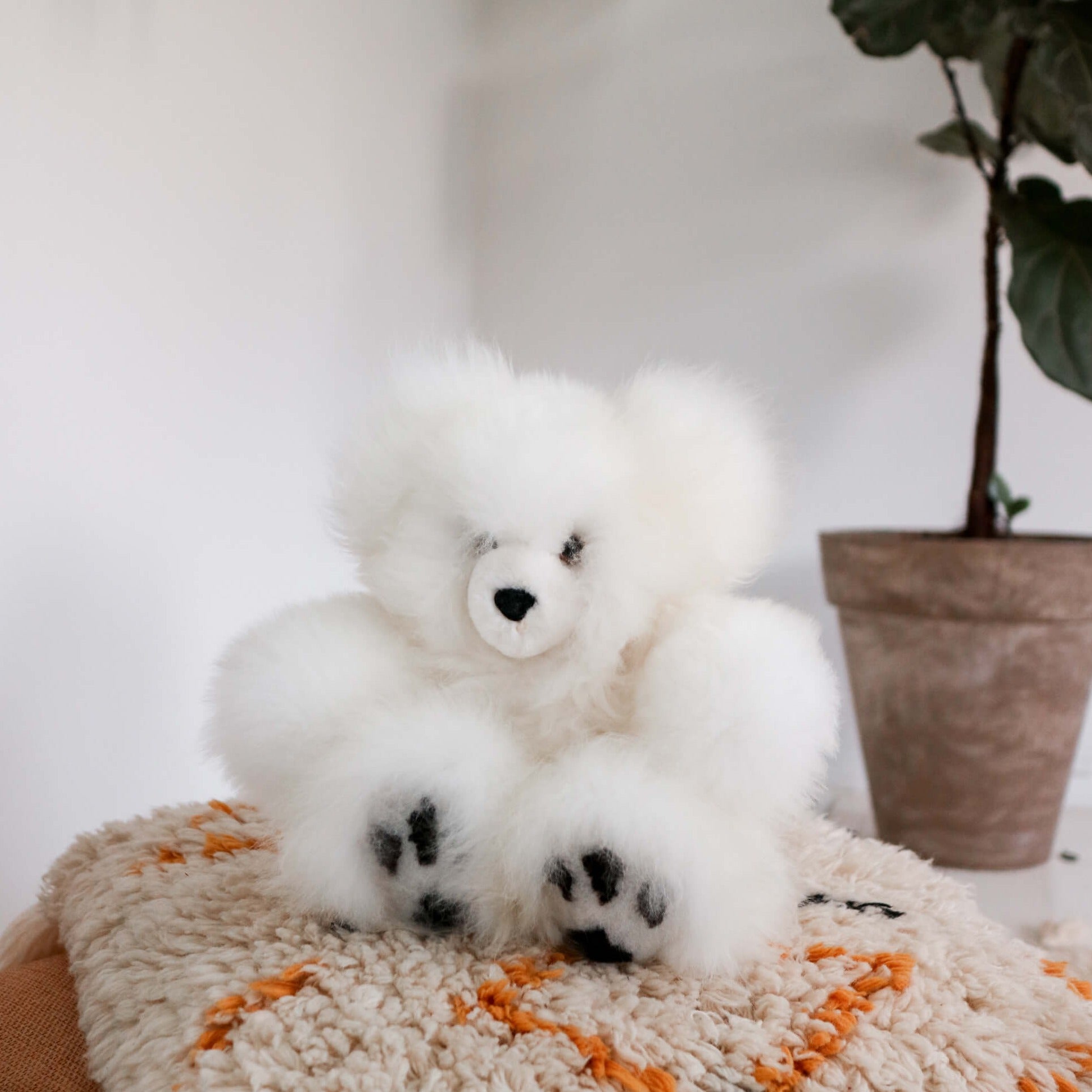 teddy bears for babies australia#colour_white